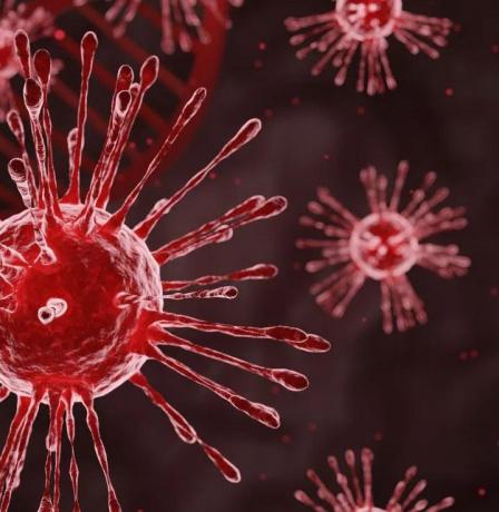 خاص| انتشار الفيروسات في الشتاء.. دكتور ربيع عدوان يقدم نصائح للوقاية للأطفال وكبار السن