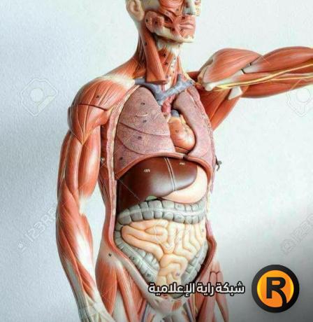 📚📚7 معلومات شيقة عن جسمك تعرف عليها الان