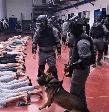 نادي الأسير: 88 شهيدا بين صفوف الأسرى والمعتقلين المعلومة هوياتهم بعد حرب الإبادة