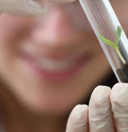 الحد من المخاطر نهج علمي وعملي: خارطة الطريق لمكافحة التدخين