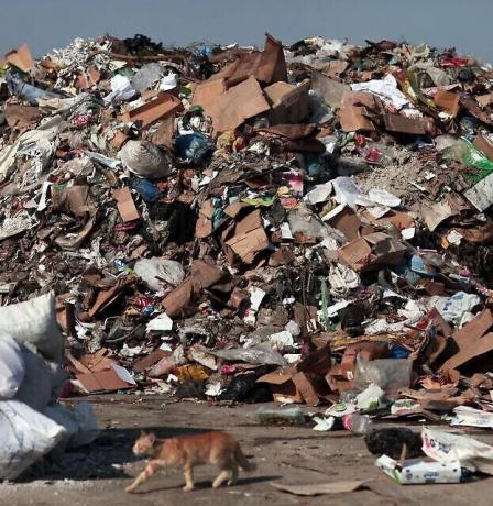 خاص | مكب نفايات بارتفاع 16 مترا.. تفاصيل صادمة من قلنديا