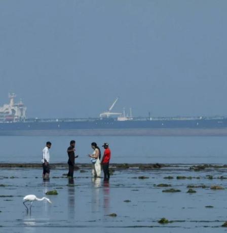 المصافي الهندية والآسيوية تتأهب لاستئناف شراء النفط الإيراني بضوء أخضر أميركي