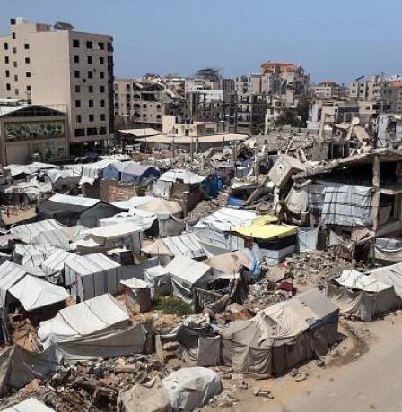 خاص| غزة: 17 ألف إصابة بين النازحين بفعل القوارض والطفيليات.. وتحذيرات من كارثة صحية وشيكة