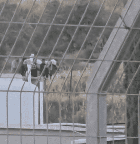 الأمم المتحدة: نبش إسرائيل أحد القبور في جنين مروع ويجسد نزع الإنسانية عن الفلسطينيين