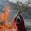مستوطنون يحرقون أراضي زراعية في برقة شمال غرب نابلس