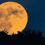 السماء تستقبل مساء الخميس "القمر البارد".. آخر قمر عملاق لـ2025