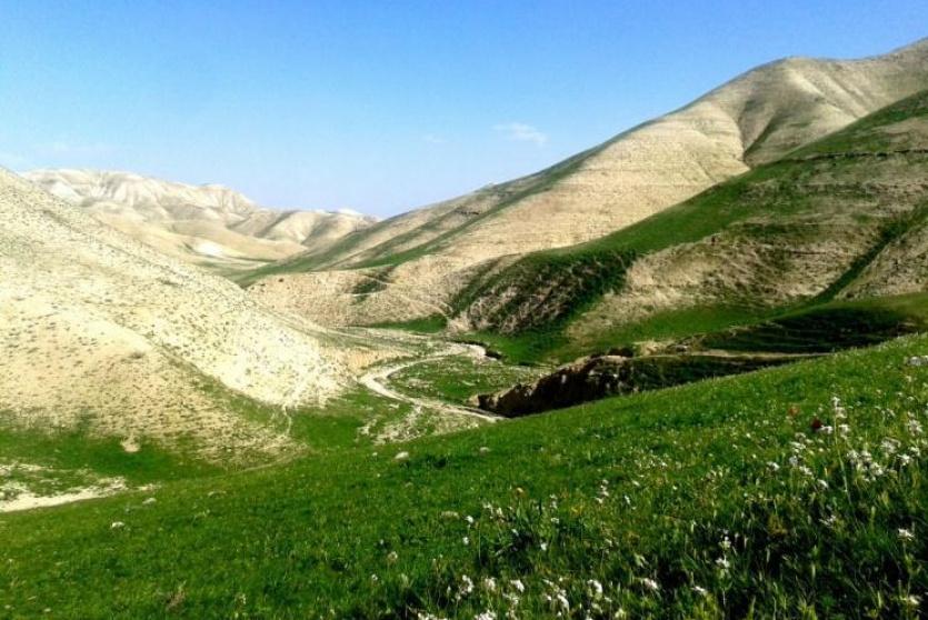 ربيع فلسطين- عدسة فارس كعابنة 