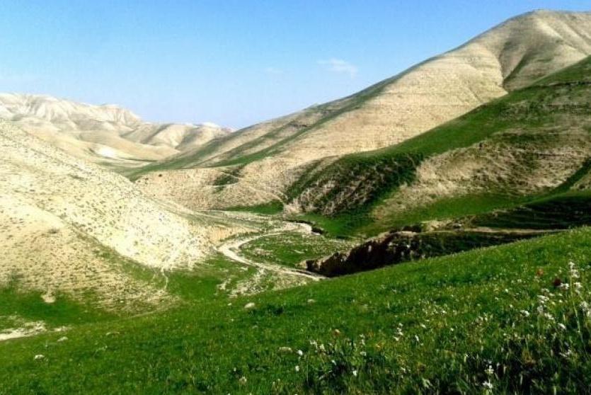 طبيعة فلسطين
