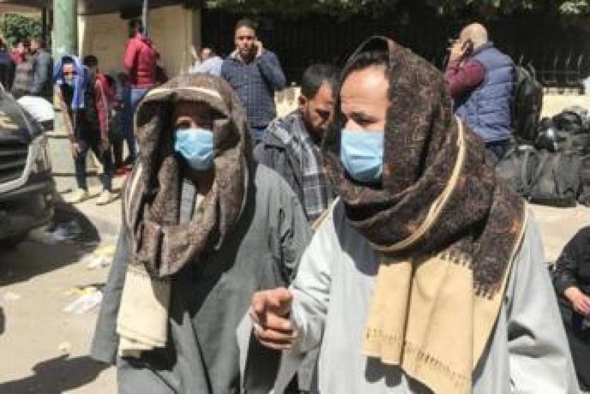 كورونا في مصر