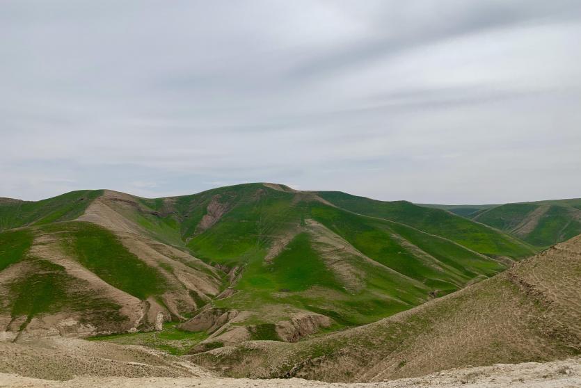 طبيعة فلسطين