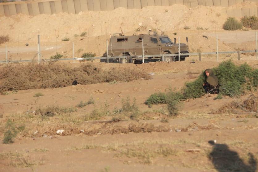 قوات الاحتلال 