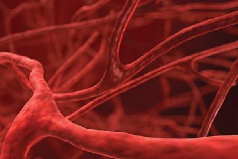 اوعية دموية