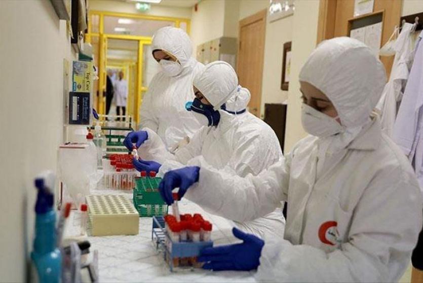 فحوص كورونا 