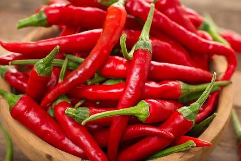 الفلفل الاحمر