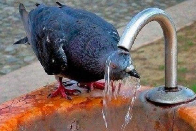 طقس فلسطين