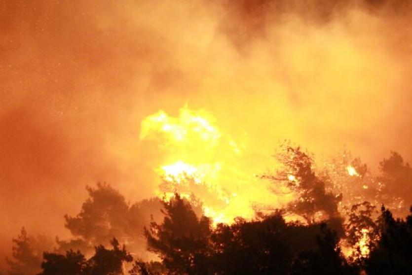 لبنان.. إخماد حريق ضخم بين بلدتي ذوق حلبا والنفيسة