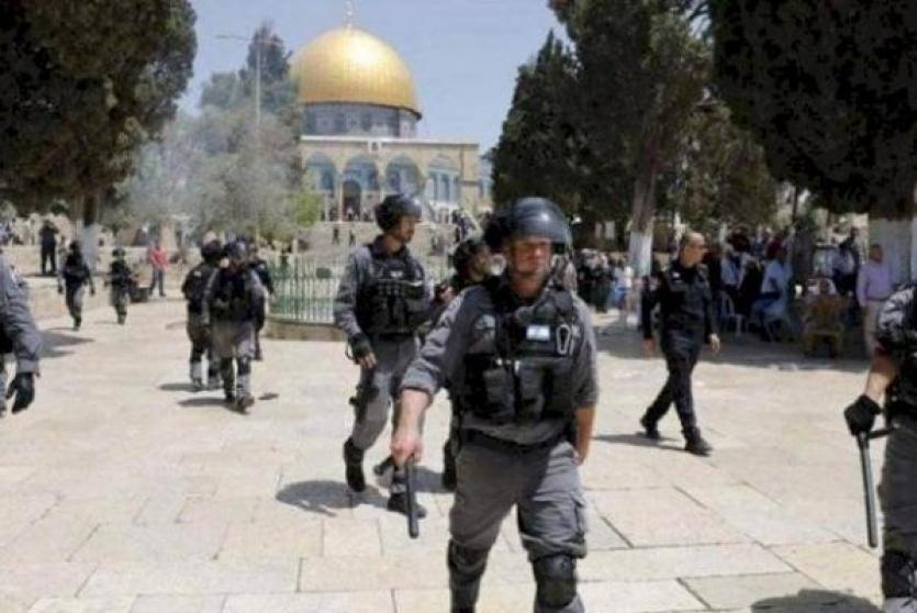 قوات الاحتلال 