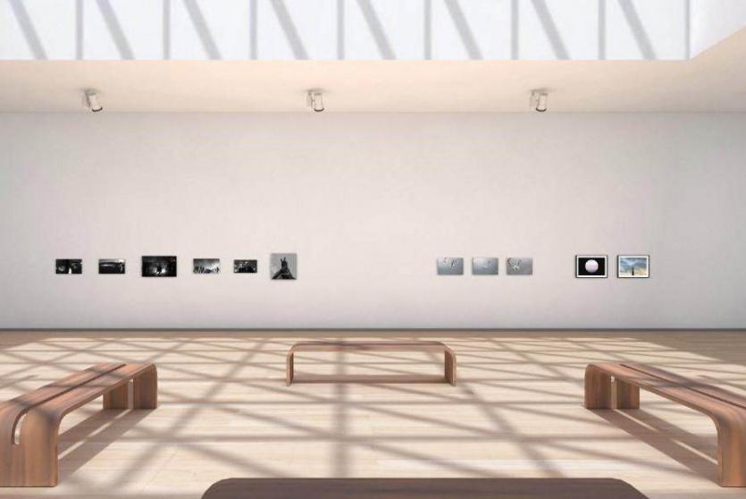 جانب من المعرض