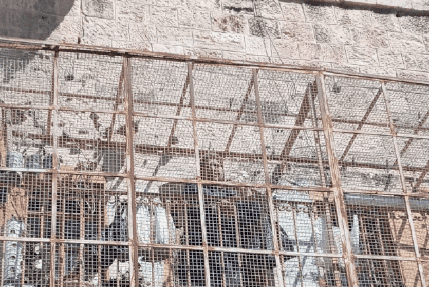 صورة من الخليل