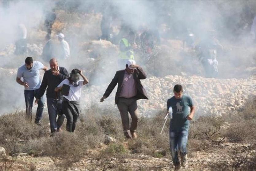 صورة ارشيفية