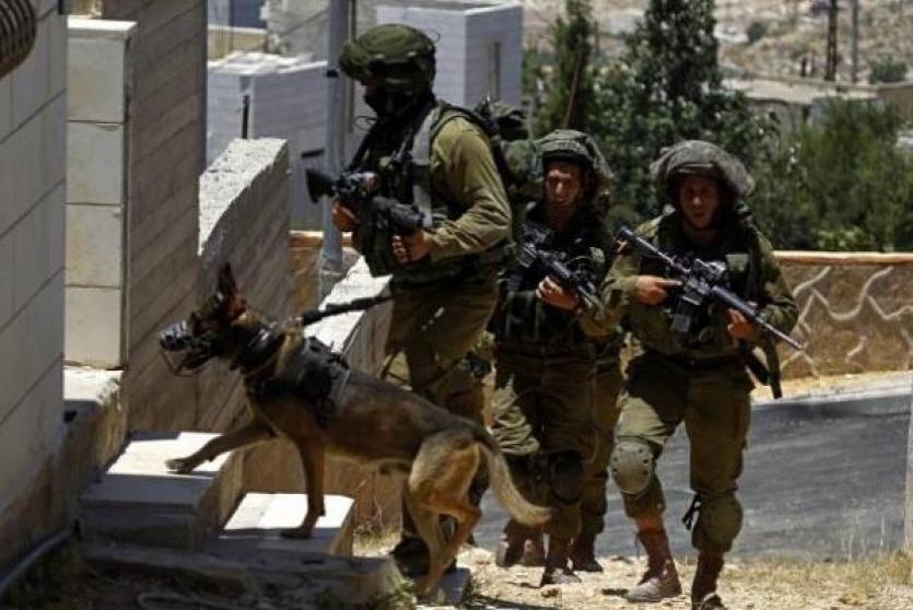 الاحتلال يعتقل شابا من مدينة جنين ويحول منازل لثكنات عسكرية في عرابة