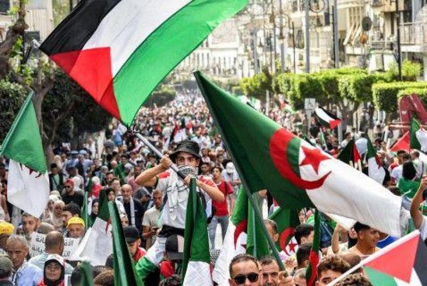 الجزائر تدعم فلسطين 