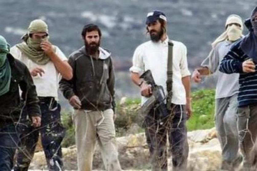 صورة من الارشيف