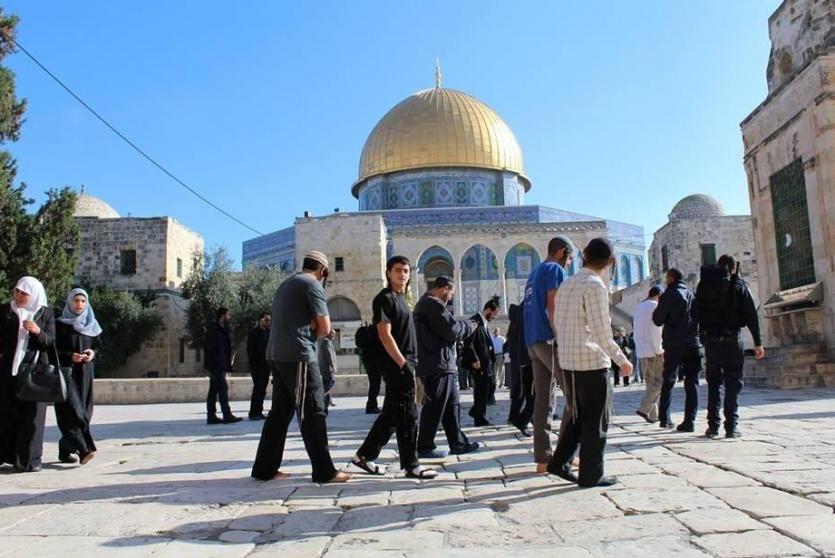صورة أرشيفية