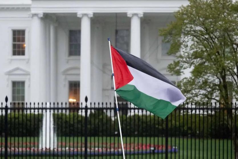 فلسطين 