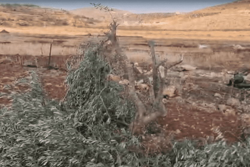 صورة ارشيفية