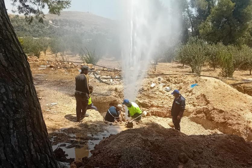 صورة أرشيفية