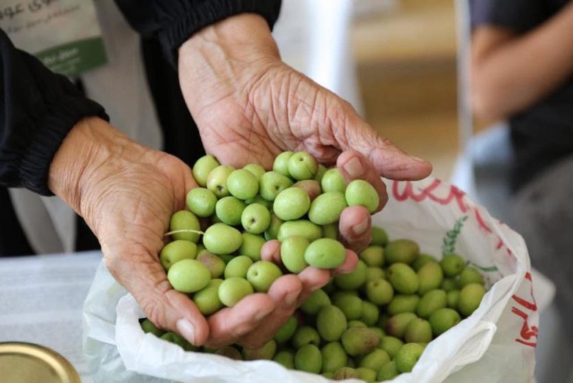 مهرجان الزيتون الوطني في بيت لحم يحتفل بيوبيله الفضي