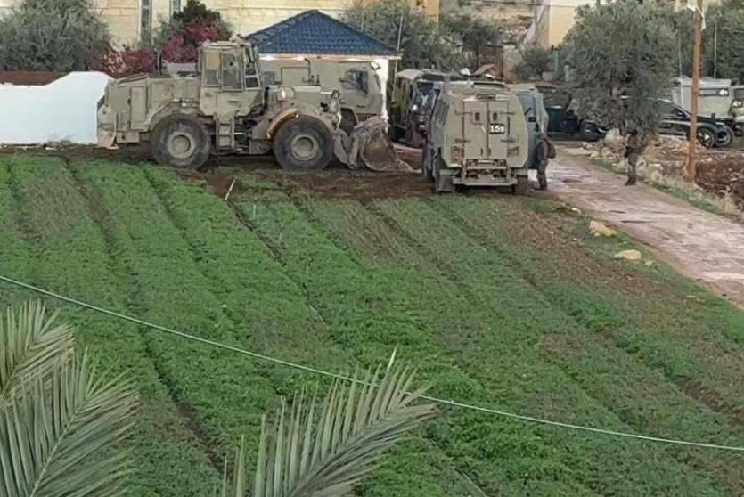 صورة متداولة 