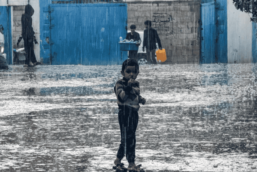 صورة من غزة